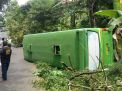 Bus Pariwisata Bermuatan Siswa SD Terguling di Pasuruan