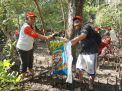 Bersihkan Hutan Mangrove, Mahasiswa UWIKA Galakkan Gerakan Nol Sampah