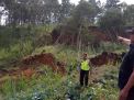 1 Hektar Lahan Perhutani di Ponorogo Tiba-tiba Longsor