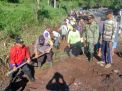 400 Hektar Lahan Pertanian di Banyuwangi Terancam Terbengkalai