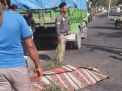 Nahas, Pelajar di Blitar Tewas Terlindas Truk saat Pulang Sekolah