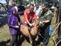 Banyuwangi Terjunkan Tim Kesehatan Awasi Penyembelihan Hewan Kurban