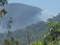 Kebakaran Hutan di Lereng Gunung Penanggungan Masih Belum Teratasi