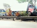 Ngebut, Truk Boks Nangkring di Pembatas Tol Sidoarjo
