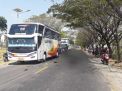 Tabrak Bus Sumber Selamat di Ngawi, Seorang Pengendara Motor Tewas