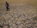 Kekeringan di Ponorogo, 672 Hektare Sawah Gagal Panen