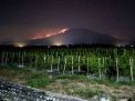 Gunung Raung Terbakar, 7  Pendaki Asal Singapura yang Terjebak Selamat