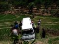 Hindari Motor, Minibus di Ponorogo Nyemplung ke Sawah