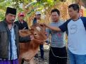 Dibantu Warga, Polisi Gagalkan Pencurian Sapi di Probolinggo