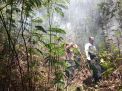 Sempat Padam, Hutan Gunung Lawu Kembali Terbakar