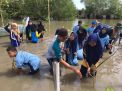 Pelajar hingga Nelayan di Banyuwangi Tanam 1000 Pohon Mangrove