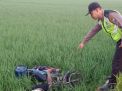 Diduga Serangan Jantung, Petani asal Ponorogo Ditemukan Tewas di Sawah