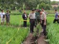 Mayat Bayi Dikubur di Saluran Irigasi, Polisi Telusuri Sejumlah Bidan