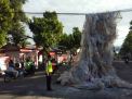 Balon Udara Bawa 17 Petasan Tersangkut Kabel Listrik di Ponorogo