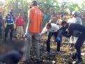 Mayat Pria dengan Luka Tusuk pada Perut Ditemukan di Mojokerto
