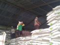 Tak Punya Kartu Tani, 30 Ribu Petani Ponorogo Sulit Beli Pupuk Subsidi