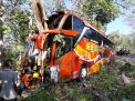 Bus Sumber Selamat Tabrak Pohon di Ngawi, Sopir dan 3 Penumpang Luka