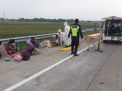 Minibus Bawa 17 Penumpang Terguling di Tol Jombang, 1 Tewas dan 7 Luka