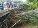 Diterjang Rumpun Bambu yang Hanyut, Jembatan di Ponorogo ini Rusak