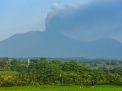 Gunung Raung Erupsi, Stok Pangan Banyuwangi Dipastikan Aman
