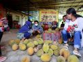 Panen, Durian Boneng hingga Mentega asal Banyuwangi Diburu Pembeli