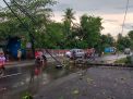 Angin Puting Beliung Meluluhlantakkan 4 Desa di Blitar, 1 Orang tewas