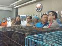 Polda Jatim Ringkus Sindikat Perdagangan Satwa Dilindungi