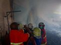 Pabrik Egg Tray di Blitar Ludes Terbakar