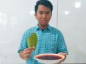 Siswa ini Manfaatkan Daun Jambu untuk Cegah Balita Stunting