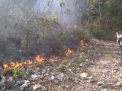 3 Hektar Lahan di Lereng Bukit Tempel Tulungagung Terbakar