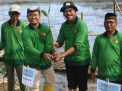 Jaga Kelestarian Lingkungan di Gresik, Ribuan Bibit Mangrove Ditanam