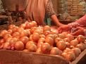 Harga Bawang Bombai di PIOS Turun, Pengusaha Kuliner Kembali Tersenyum