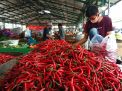 Harga Cabai Naik Jelang Lebaran Gairahkan Pedagang PIOS