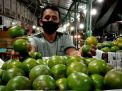 Ini Tips Pedagang Buah di PIOS Memilih Jeruk Lokal