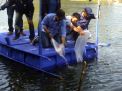 Peduli Lingkungan, NasDem Kota Probolinggo Tebarkan Ribuan Benih Ikan