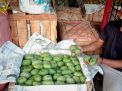 Tak Panen Raya akibat Cuaca, Buah Mangga Tetap Tersedia di PIOS