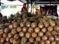 Pedagang PIOS Borong Buah Nanas dari Kediri dan Blitar