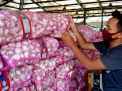 Pedagang Bawang Putih di PIOS Maksimalkan Pesanan Lokal, Ini Alasannya