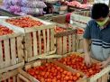Selektif, Pedagang PIOS Datangkan Tomat Super dari Petani di Jatim