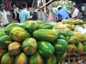 Para Pedagang Buah di PIOS Jadi Langganan Suplier Supermarket