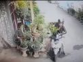 Aksi Pencurian Tanaman Bonsai Terekam Kamera CCTV