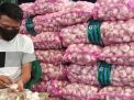 Antisipasi Libur Nataru, Pedagang PIOS Datangkan Bawang Putih Impor