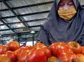 Harga Buah Tomat Segar Kembali Naik, Pedagang di PIOS Sumringah