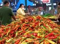 Petani Panen, Harga Cabai Rawit di PlOS Berangsur Turun