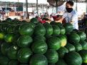 Stok Buah Semangka di PIOS Cukup Meski Masa Panen Raya Berakhir