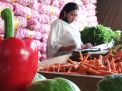 Aneka Jenis Paprika Berkualitas dari Petani Batu Melimpah di PIOS