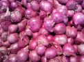 Pedagang PIOS Datangkan Bawang Merah dari Petani Bojonegoro