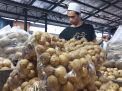 Kentang Segar Berbagai Ukuran Tersedia di Pasar Induk Osowilangun Surabaya