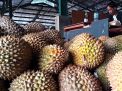 Jadi Favorit di PIOS, Durian Montong asal Bali Ludes Terjual 6 Ton dalam 3 Hari