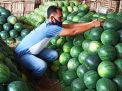 Penjualan Buah Semangka di PIOS Meningkat Selama Libur Lebaran
